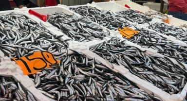  O kentte hamsi azaldı, fiyatlar yeniden yükselişte