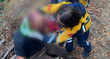 Ormanda Dehşet! Ayı Saldırısına Uğrayan Vatandaş İçin Ekipler Seferber Oldu