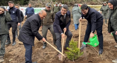 Piraziz Belediyesi’nden Milli Ağaçlandırma Günü’ne Destek