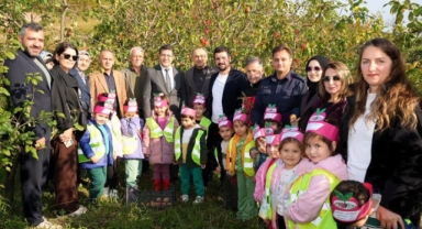 Piraziz'de Coğrafi İşaretli Elmalar Dalından Toplandı