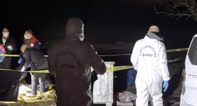 Samsun'da 9 köpeğin ölü bulundu, olayla ilgili soruşturma başlatıldı!