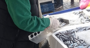 Şebinkarahisar’da Balık Tezgahlarına Sıkı Denetim!