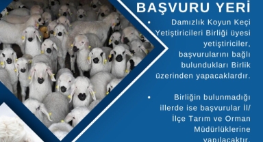 Tarım ve Orman Bakanlığı'ndan Üretici Gelirini Artırmaya Yönelik Destek Sürüyor! Son Başvuru Tarihi Ne Zaman?