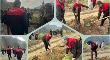 Tirebolu’da Fidanlar “Yeşil Vatan” İçin Toprakla Buluştu