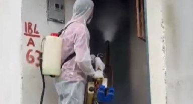 Tirebolu’da Kahverengi Kokarca ile Kışlak Mücadelesi