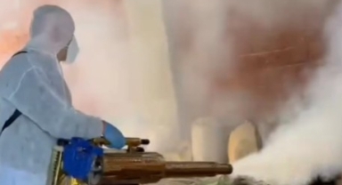 Tirebolu'da Kahverengi Kokarca ile Kışlak Mücadelesi