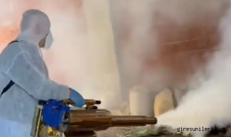 Tirebolu'da Kahverengi Kokarca ile Kışlak Mücadelesi