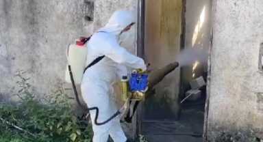 Tirebolu'da Kahverengi Kokarca ile Kışlak Mücadelesi