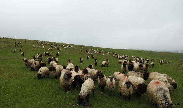 Üreticilere Önemli Duyuru: Destekleme Takvimi Değişti