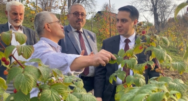 Yavuzkemal’de Tarıma Yakından İlgi: Kaymakam Gövercin Sahada