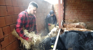 Almanya’dan Giresun’a tersine göç: “Robot olacağıma memleketimde çoban olurum”