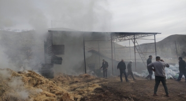 Besi çiftliğinde yangın
