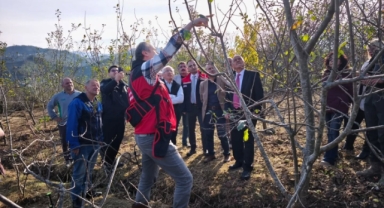 Coğrafi İşaretli Piraziz Elması İçin Çiftçilere Kritik Eğitim