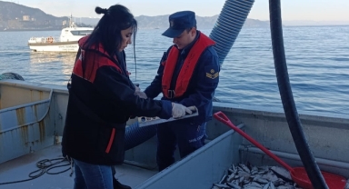Deniz ve Karada Büyük Kontrol! Giresun’da Balıkçılık Denetimleri Sürüyor