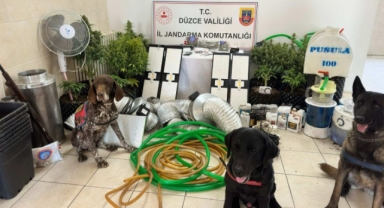 Evinin çatı arasına kurduğu düzenekle uyuşturucu bitki yetiştiren şüpheli yakalandı