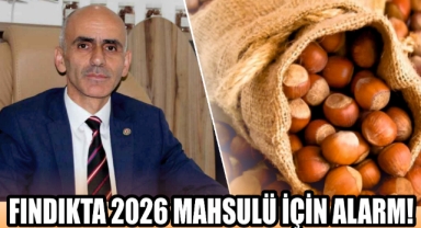 Fındıkta 2026 Mahsulü İçin Alarm! 