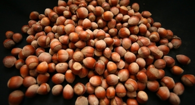 Fındıkta Sert Düşüş: Türkiye’nin 3 Aylık İhracatı Yarı Yarıya Azaldı!