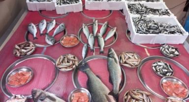 Giresun'da balık fiyatları bugün ne kadar?