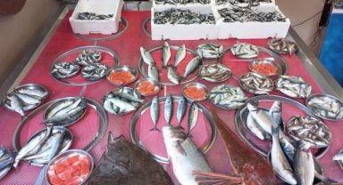 Giresun'da balık fiyatları bugün ne kadar?