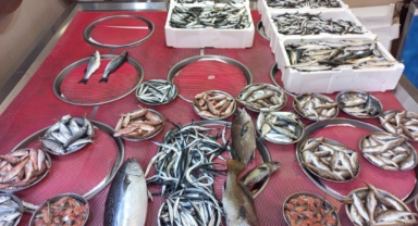 Giresun'da balık fiyatları bugün ne kadar?