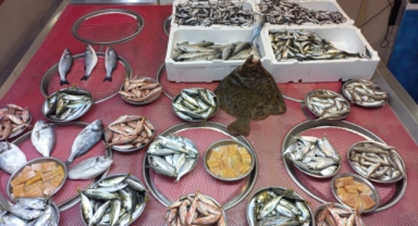 Giresun'da balık fiyatları bugün ne kadar?