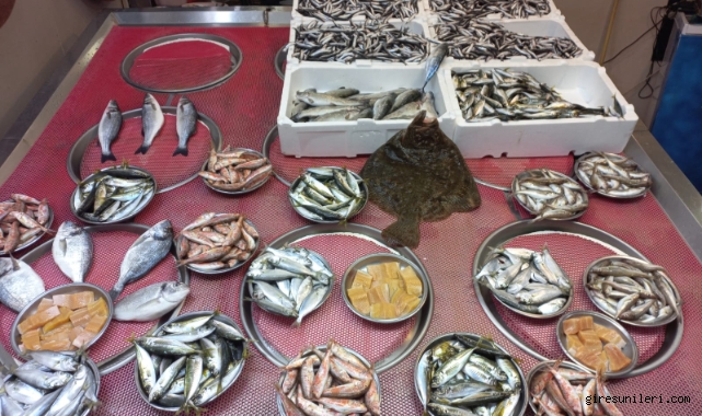 Giresun'da balık fiyatları bugün ne kadar?