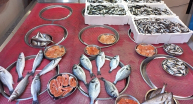 Giresun'da balık fiyatları bugün ne kadar?