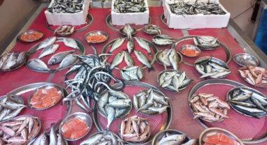 Giresun'da balık fiyatları bugün ne kadar?