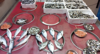 Giresun'da balık fiyatları bugün ne kadar?