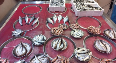 Giresun'da balık fiyatları bugün ne kadar?
