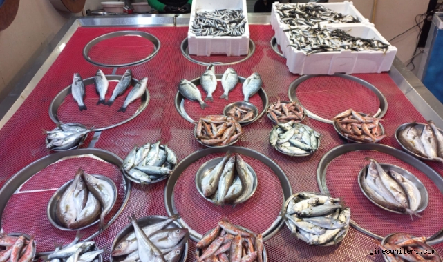 Giresun'da balık fiyatları bugün ne kadar?