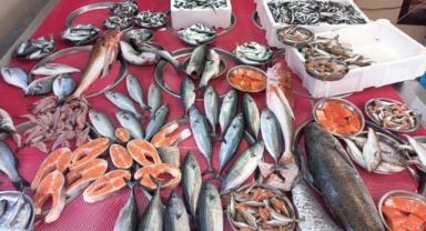 Giresun'da balık fiyatları bugün ne kadar?