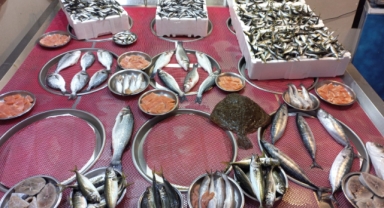 Giresun'da balık fiyatları bugün ne kadar?