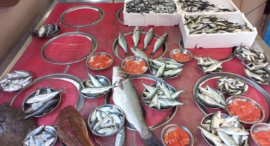 Giresun'da balık fiyatları bugün ne kadar? Hamsi kaç TL? 