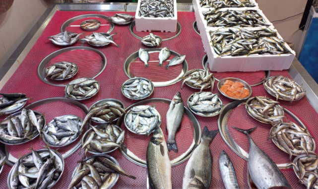 Giresun'da Balık Fiyatları Bugün Ne Kadar? Hamsi Kaç TL?