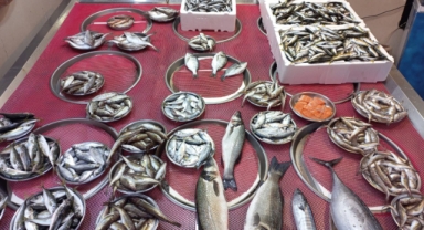 Giresun'da Balık Fiyatları Bugün Ne Kadar? Hamsi Kaç TL?