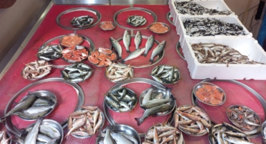 Giresun'da Balık Fiyatları Bugün Ne Kadar? Hamsi Kaç TL?