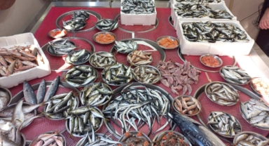 Giresun'da Balık Fiyatları Bugün Ne Kadar? Hamsi Kaç TL?