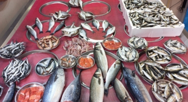 Giresun'da Balık Fiyatları Bugün Ne Kadar? Hamsi Kaç TL?