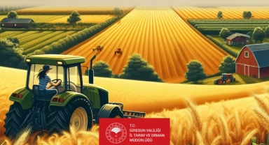 Giresun’da ÇKS Başvuruları İçin Hafta Sonu Mesaisi