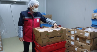 Giresun’da Et ve Süt Depoları Mercek Altında