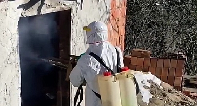 Giresun'da Fındığı Tehdit Eden Zararlıya Karşı Etkin Mücadele