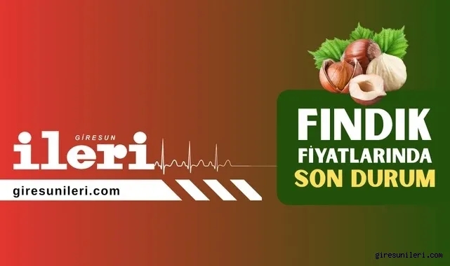 Giresun'da Fındık Fiyatları Bugün Ne Kadar?