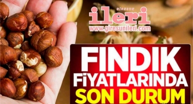 Giresun'da fındık fiyatları bugün ne kadar? 