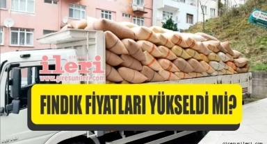 Giresun'da fındık piyasasında son durum… Fındık fiyatları yükseldi mi?