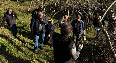 Giresun'da Fındık Üreticilerine Teknik Destek! Uzmanlardan Uygulamalı Eğitim 