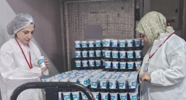 Giresun’da Halk Sağlığı İçin Gıda Kontrolleri Devam Ediyor