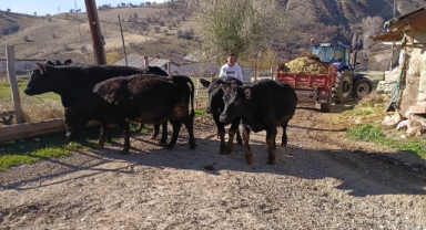 Giresun’da Hayvancılığa Büyük Destek: Projede İkinci Teslim Yapıldı