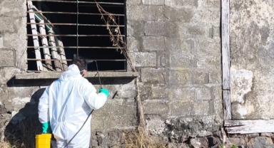 Giresun’da Kahverengi Kokarca İle Etkin Mücadele Sürüyor