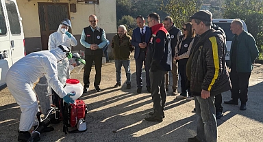 Giresun'da Kahverengi Kokarca ile Kışlak Mücadelesi Aralıksız Sürüyor